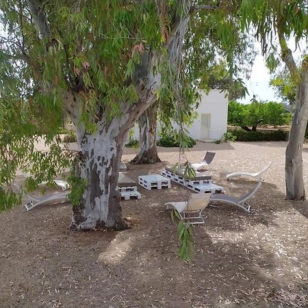 Terreamare Agriturismo 切萨雷奥港 外观 照片